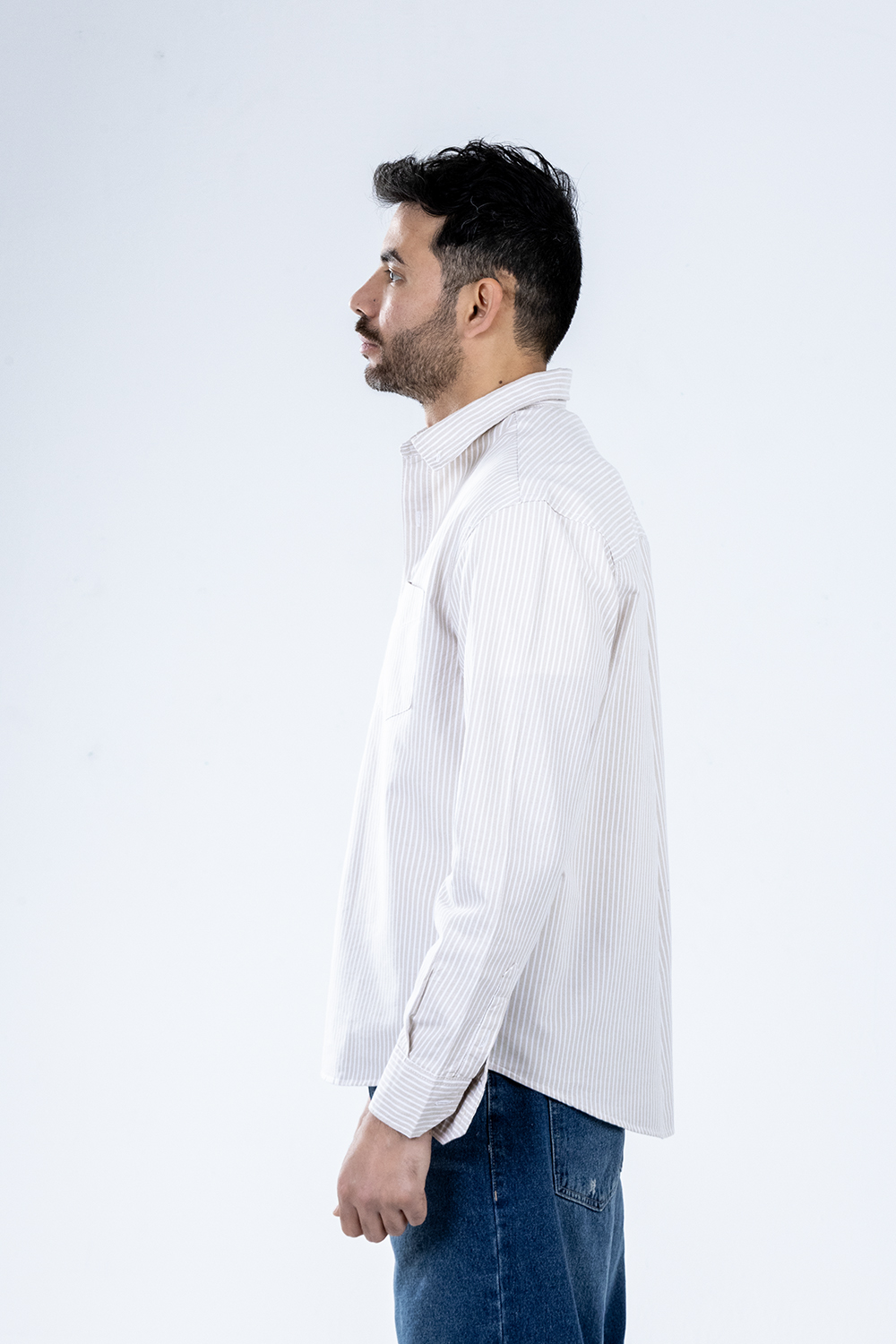 Button-up . Oxford shirt